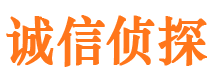 隆阳市调查公司